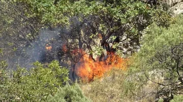 Огромен пожар бушува в района на Бонсови поляни в Люлин планина
