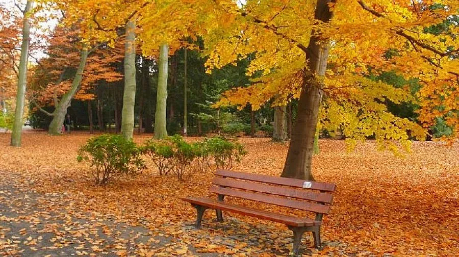 Циганското лято започва, слънчево и топло днес