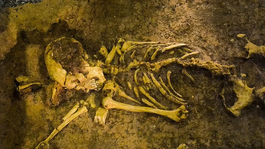 Успяха да спасят уникалния човешки скелет "Лусия" oт опожарения музей в Рио