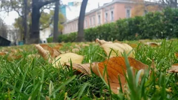 Появяват се облаци, но времето остава все така приятно