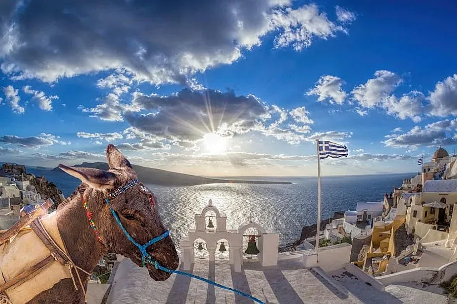 Туристи над 100 кг. няма да яздят магарета в Санторини