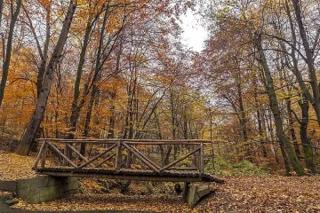 Топ 3 на най-уютните хижи край София