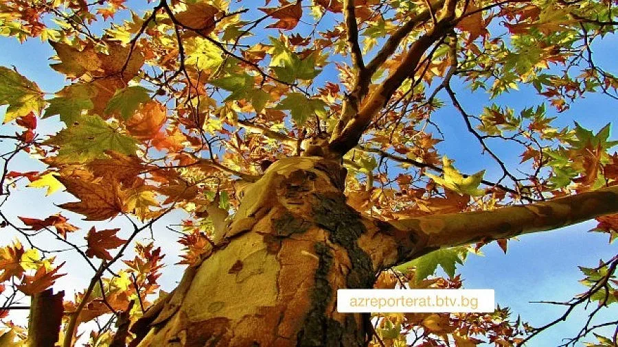 Златен октомври