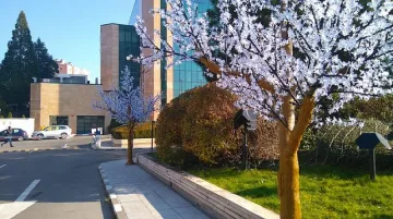 Отвориха хотел "Маринела"