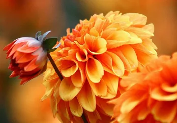 Температурите ще достигат до 28 градуса през октомври