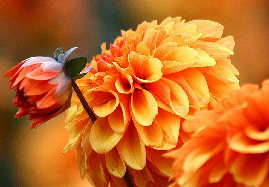 Температурите ще достигат до 28 градуса през октомври