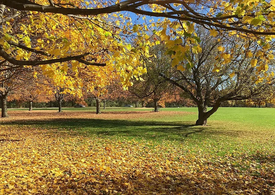 30%-50% от хората са чувствителни към рязката промяна на времето