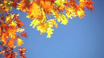 Температурите се покачват, слънчево ще е днес