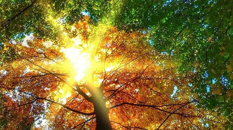 Слънчев летен ден, с временно заоблачаване, почти без валежи