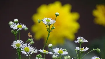 Какво ще бъде времето на първия учебен ден?