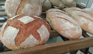 Преговори с веригите за цената на хляба