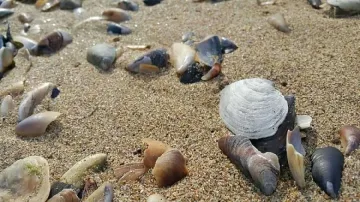 От сряда започва захлаждане