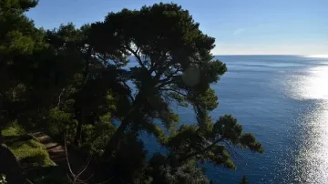 Слънчева събота с температури до 35 градуса