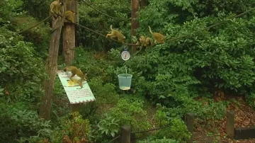 Броят животните в Лондонския зоопарк