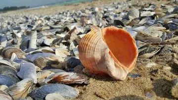 Слънчев петък, ще превали само на места в планините