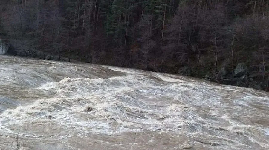 Пожарникари спасиха двама мъже и шест деца, бедстващи в река Арда