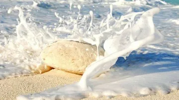 До до 35 градуса днес