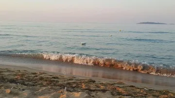 Потънал американски кораб пуска мазут на броени километри от Созопол