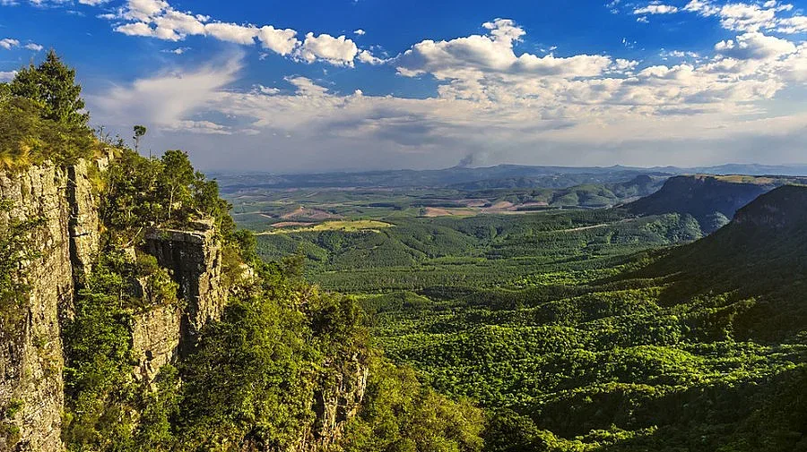 ЮАР ще съкрати 30 000 държавни служители