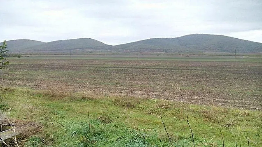 9 456 стопани с двойно застъпване на площи за подпомагане