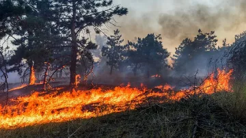 Пожар избухна на гръцкия остров Закинтос