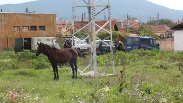 Мащабна операция в ромски махали в Старозагорско, полицията нахлу в десетки имоти