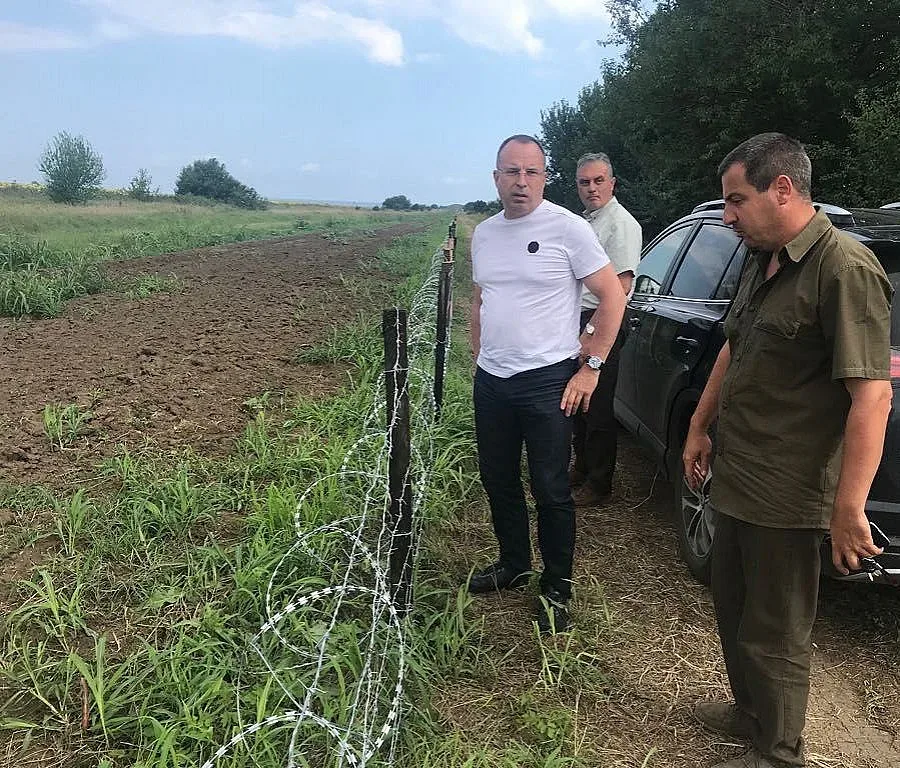 Готови са 11 км от оградата с Румъния срещу африканската чума по прасетата