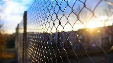 Полша отказва да строи ограда по източната си граница заради чумата по свинете