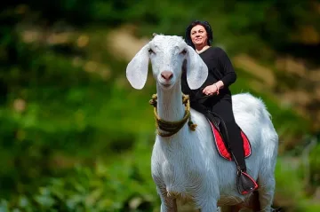 dilov.info:  Козата Силвия и други драми