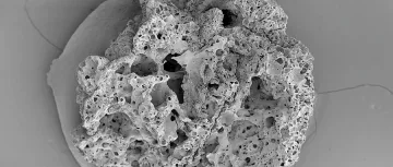 Най-старият хляб на света е на 14 500 години