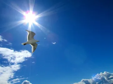 Слънчево и тихо