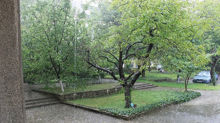 Дъждове и гръмотевици