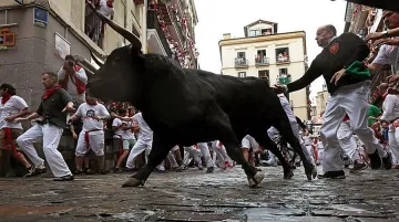 Петима пострадаха при пускането на биковете в Памплона