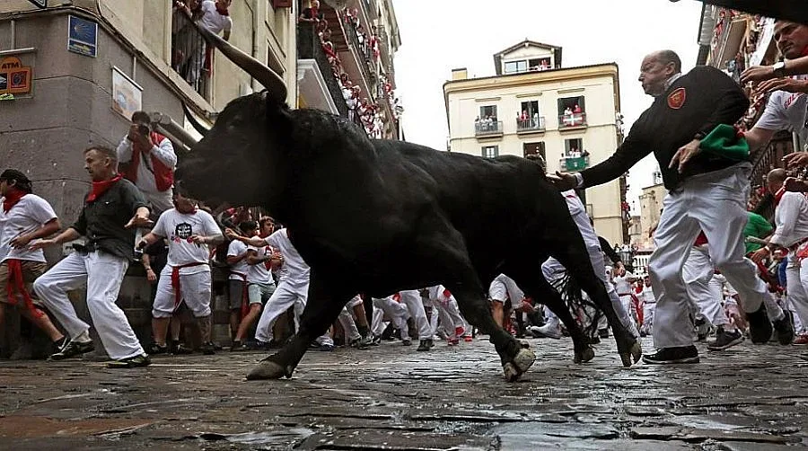 Петима пострадаха при пускането на биковете в Памплона