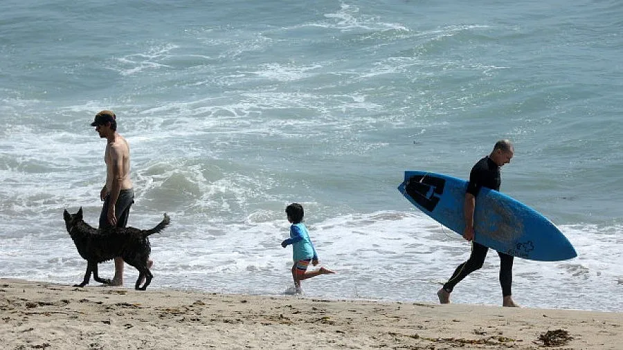 Жеги обхванаха САЩ и Канада