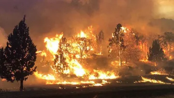Извънредно положение в Калифорния заради горски пожари