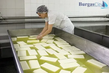 За 10 години производството на сирене намаляло с 16 000 тона