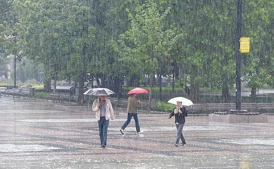 Жега и дъжд