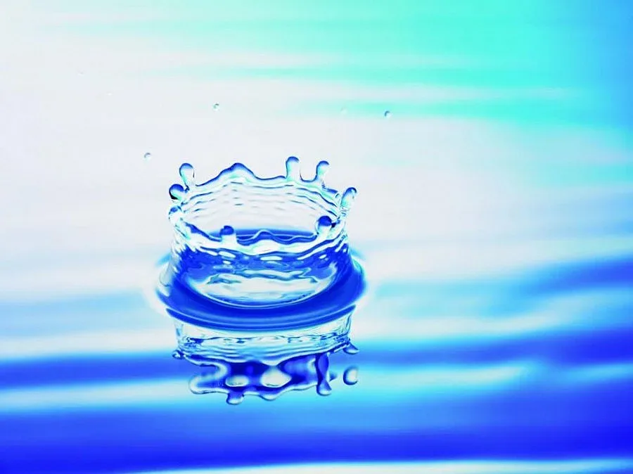 Нобелови лауреати създадоха „мъртва вода“