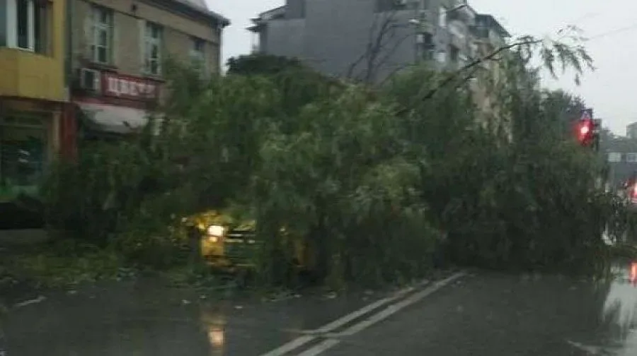 Дървета премазват автомобили, обстановката в Пловдив е крайно усложнена