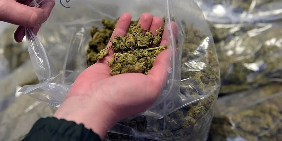 ООН: Производството на опиум и кокаин е на рекордно ниво