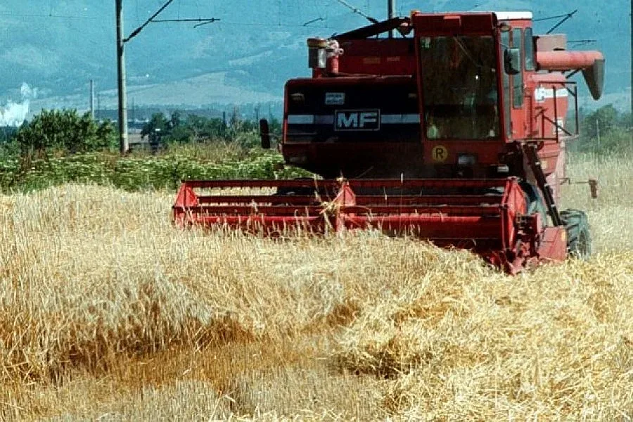  Сирия може да внася пшеница от България