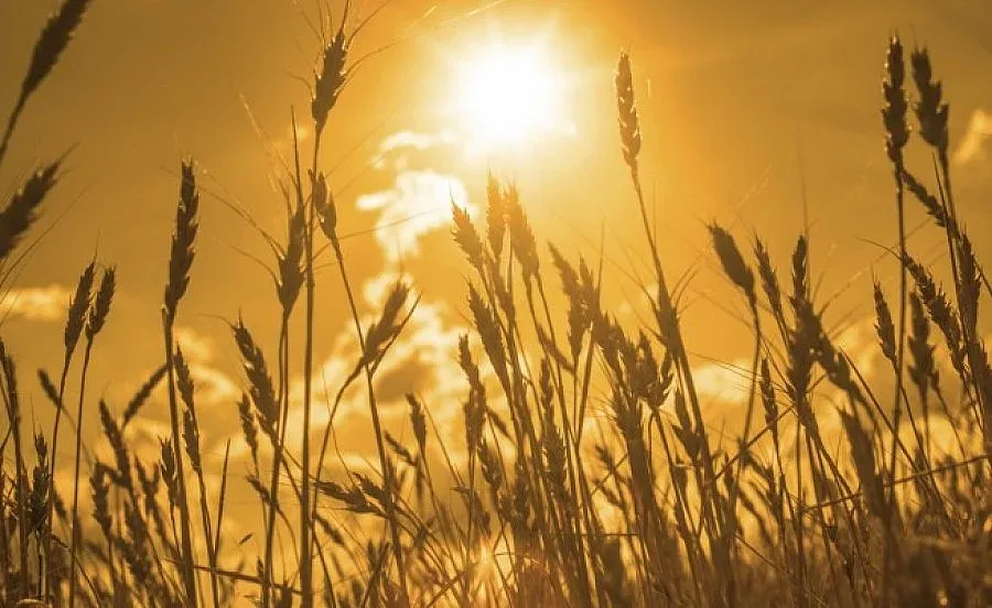 Астрономическото лято идва с горещини