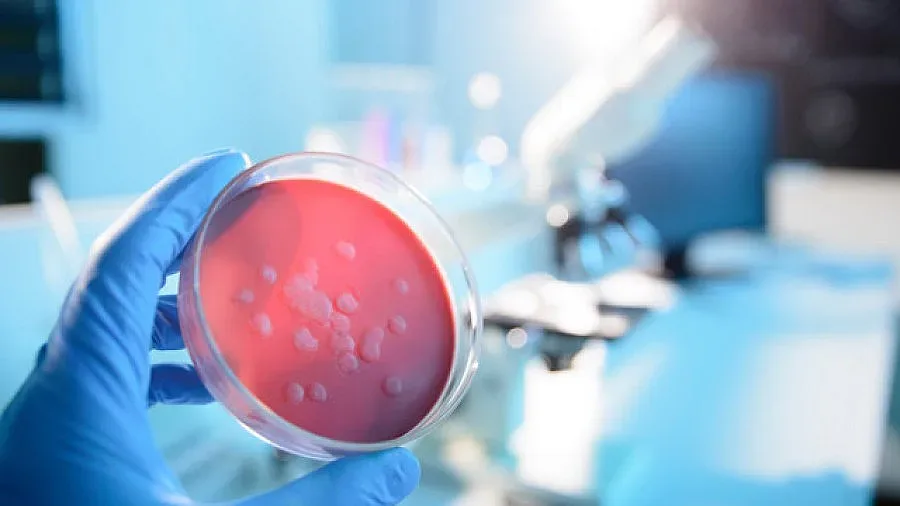 Дете от Съединените щати се възстановява от чума