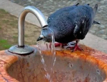 Ден за приемане на Витамин Д