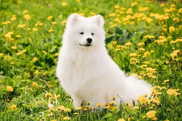 Повече слънце ще ни радва следващата седмица