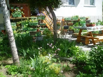 Градина пред блока с пари от общината