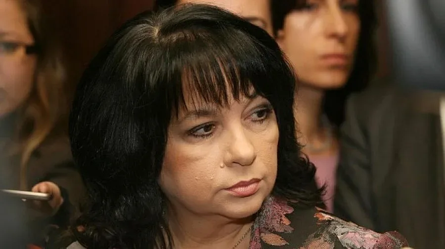Теменужка Петкова: До 7-8 години може да бъде реализиран проектът "Белене"
