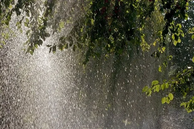 Времето прави рязък завой! Голяма опасност в петък
