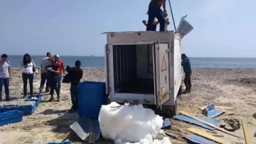 Хванаха двама българи с дрога за 200 милиона долара в Перу 